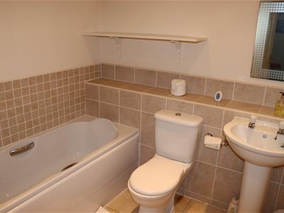 Picture 12